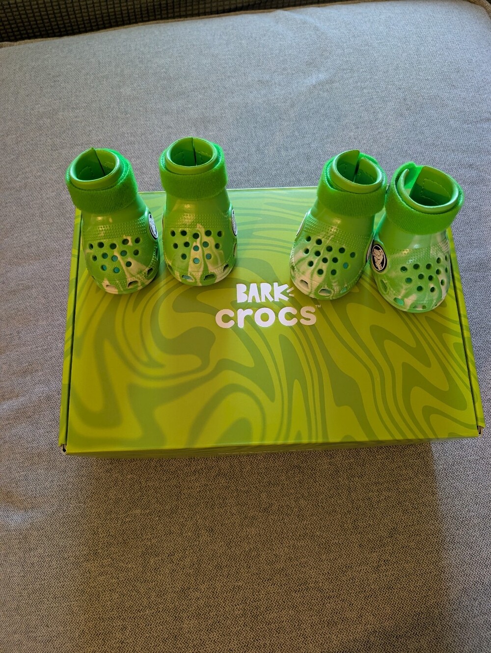 Medium Dog Crocs